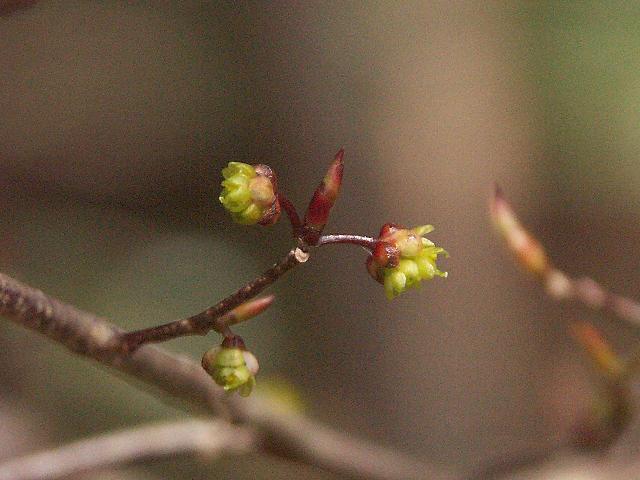 b0039226_2133125.jpg