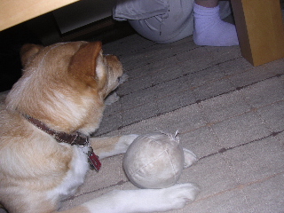 c0065643_22102012.jpg