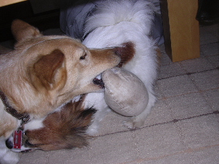 c0065643_2210682.jpg