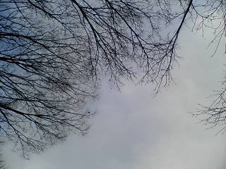 e0063653_1558476.jpg