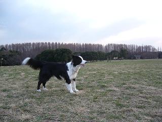 f0050955_2131738.jpg