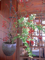 e0001860_2022395.jpg