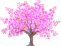 c0064564_22412691.gif