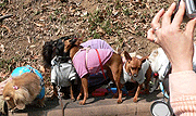 c0012571_202057.gif