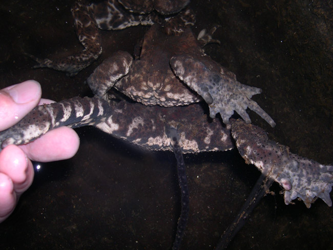 d0009773_9591834.jpg
