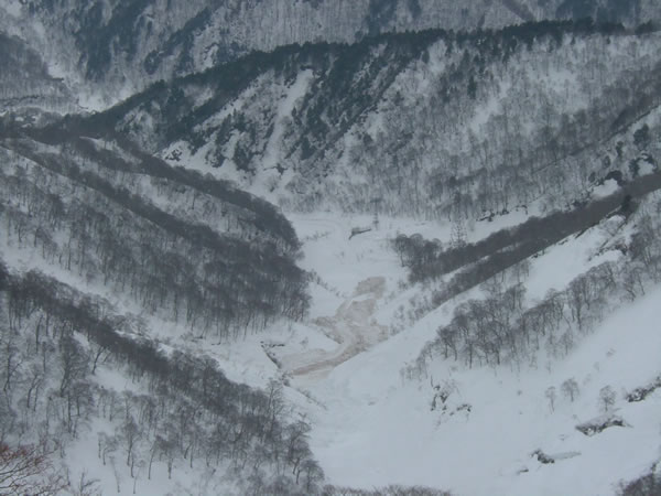 f0087787_129549.jpg