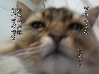 a0045990_1413237.jpg