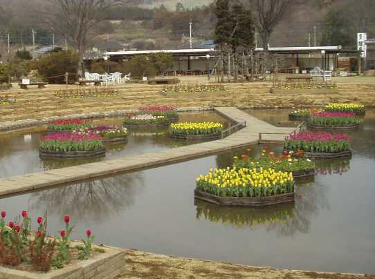f0018790_903061.jpg