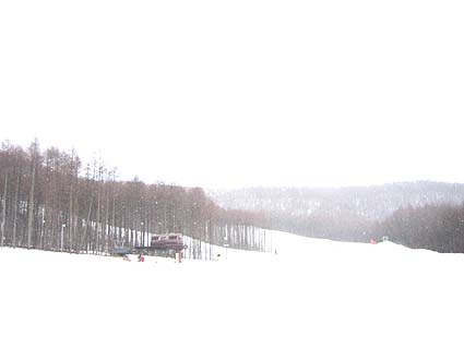 c0004193_2365368.jpg