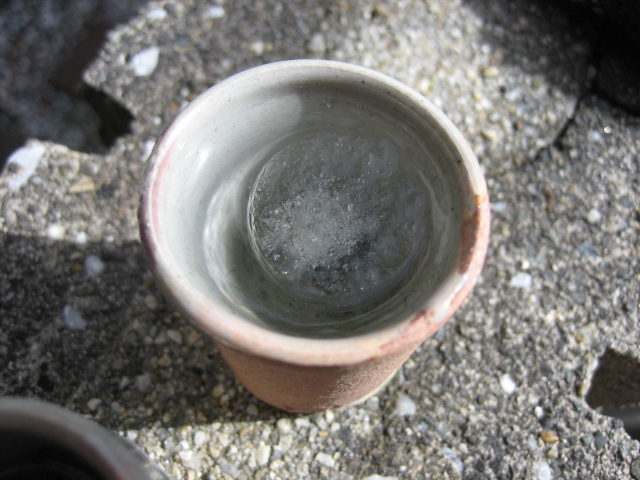 e0051194_2233671.jpg