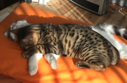 c0011300_2122293.jpg