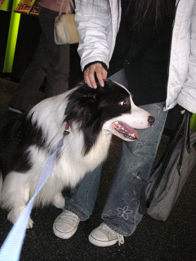 f0034602_19123169.jpg