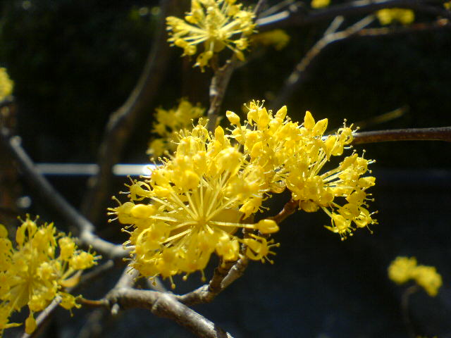 f0052603_2353151.jpg