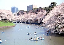 a0026611_19555395.jpg