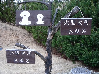 d0023323_0223556.jpg
