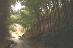 f0060424_1205923.jpg