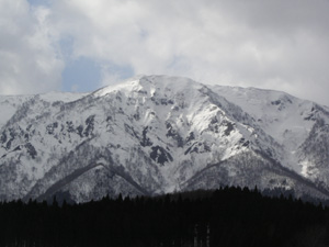 a0049226_0121334.jpg