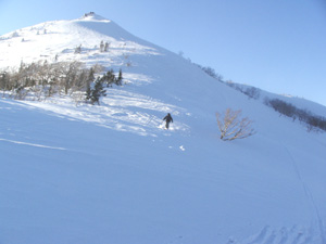 a0049226_945217.jpg