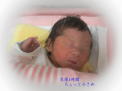 e0088531_2028356.gif