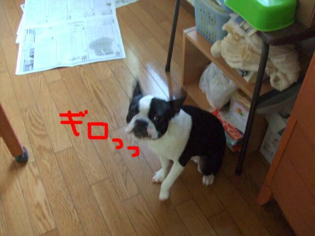 f0059334_12473652.jpg