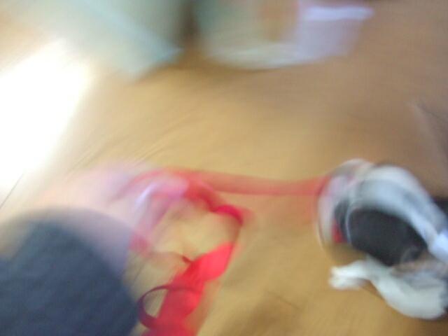 f0059334_12505351.jpg