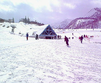 b0021251_13441716.jpg