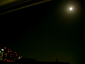 c0069552_2240897.jpg
