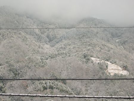 d0011765_8345818.jpg
