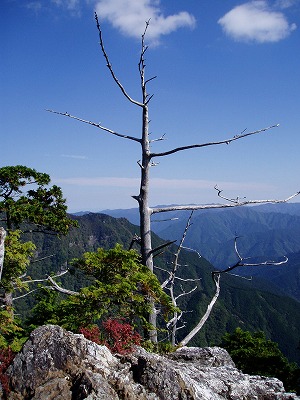 f0057070_20533533.jpg