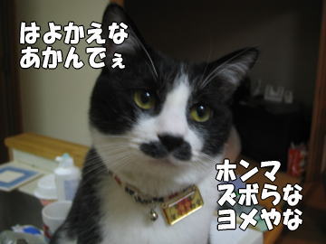 b0041182_6402451.jpg