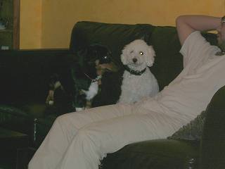 c0013693_15102457.jpg