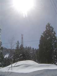 a0061599_22241281.jpg