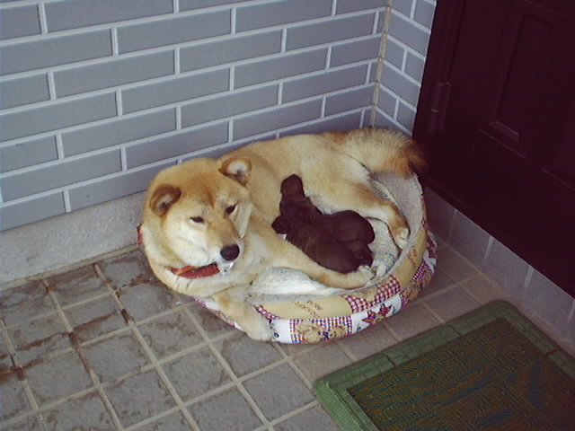 e0084001_17182958.jpg
