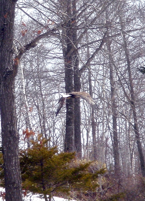 f0020302_127244.jpg