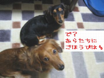 b0044804_10373379.jpg