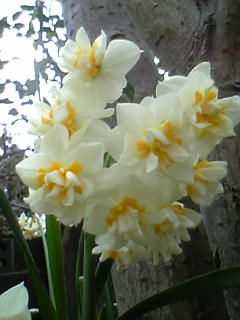 a0013905_0275031.jpg