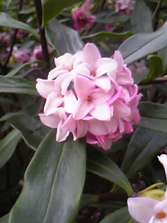 a0013905_031260.jpg