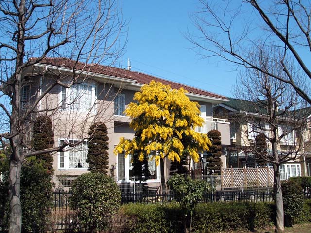 b0052523_3385142.jpg