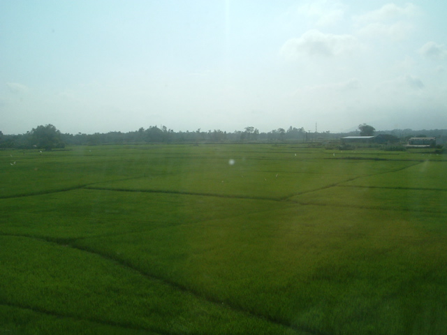 d0012323_1916165.jpg