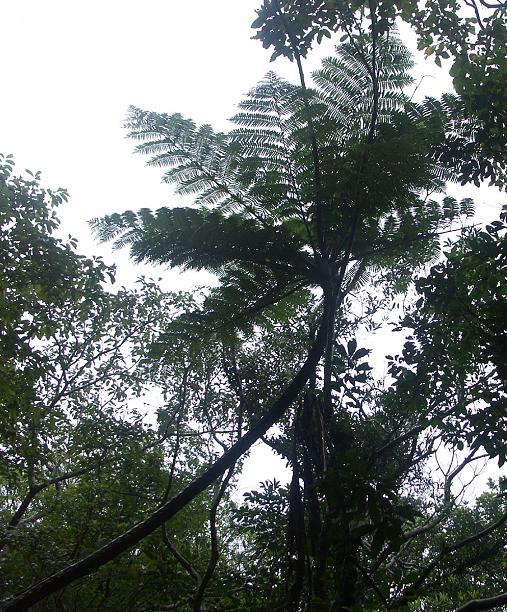 b0039226_1829282.jpg