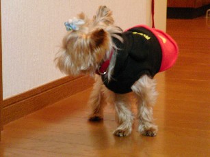 f0002833_039241.jpg