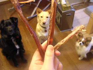 c0065643_18313278.jpg