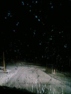 f0079666_8175835.jpg