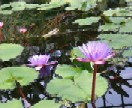 e0037673_2333765.jpg