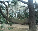 e0037673_2394570.jpg