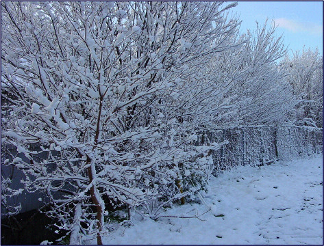 f0003174_10383450.jpg