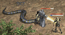 e0034686_11285382.gif