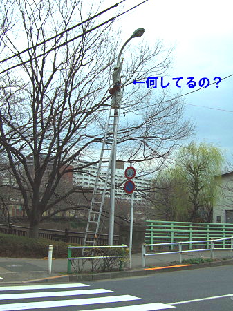 c0044199_15432587.jpg