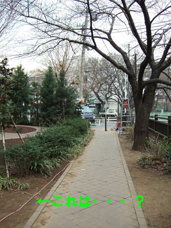 c0044199_1543581.jpg