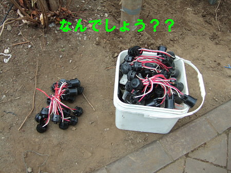 c0044199_15443779.jpg